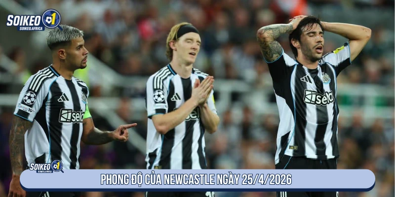 Soi Kèo Arsenal vs Newcastle 23:30 Ngày 25/4/2026 Phong độ Newcastle trước chuyến làm khách ngày 25/4/2026