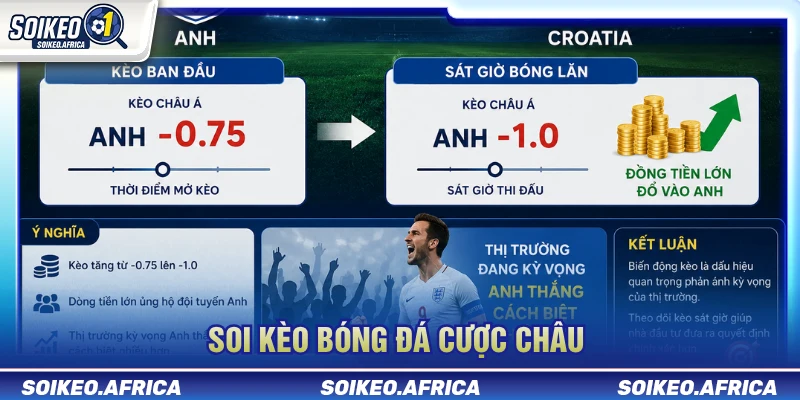 Minh họa cách đọc handicap trong kèo bóng đá hôm nay