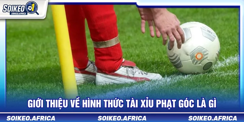 Các mốc tài xỉu phạt góc thường gặp